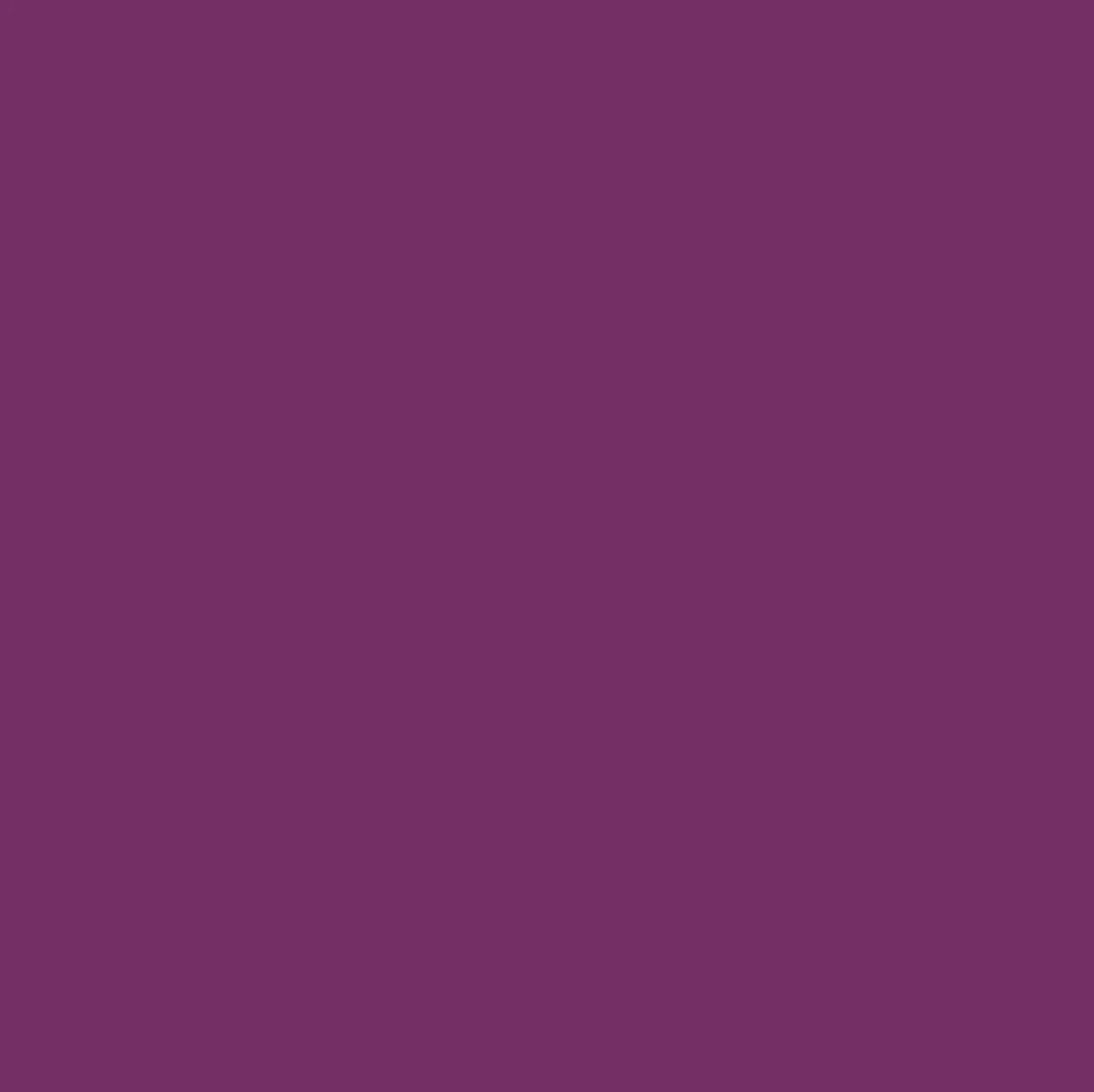 Change Agent Magnetic Original Lipstick O 364 FEARLESS PURPLE