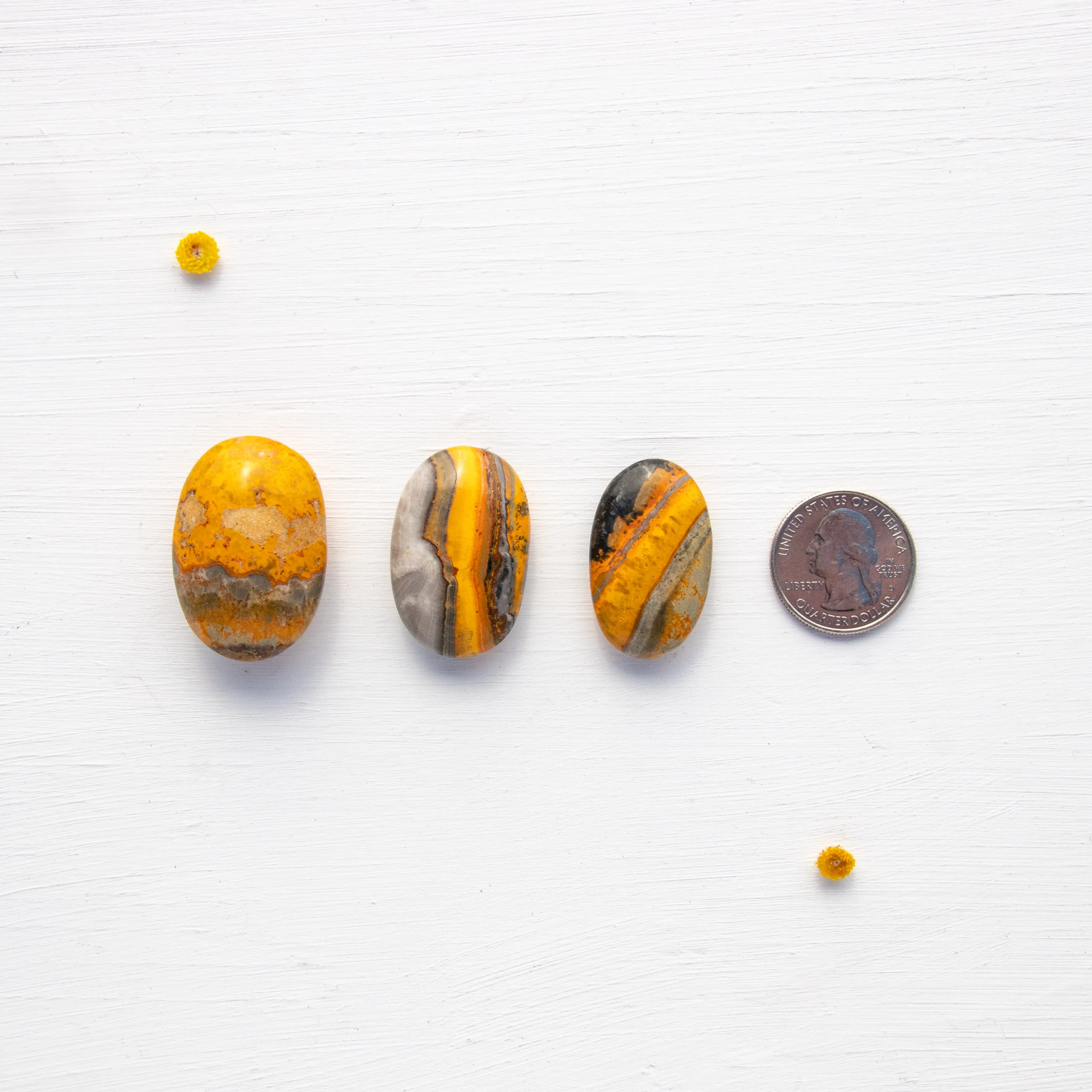 Jasper - Bumble Bee, Polished, Flat Stone, Small